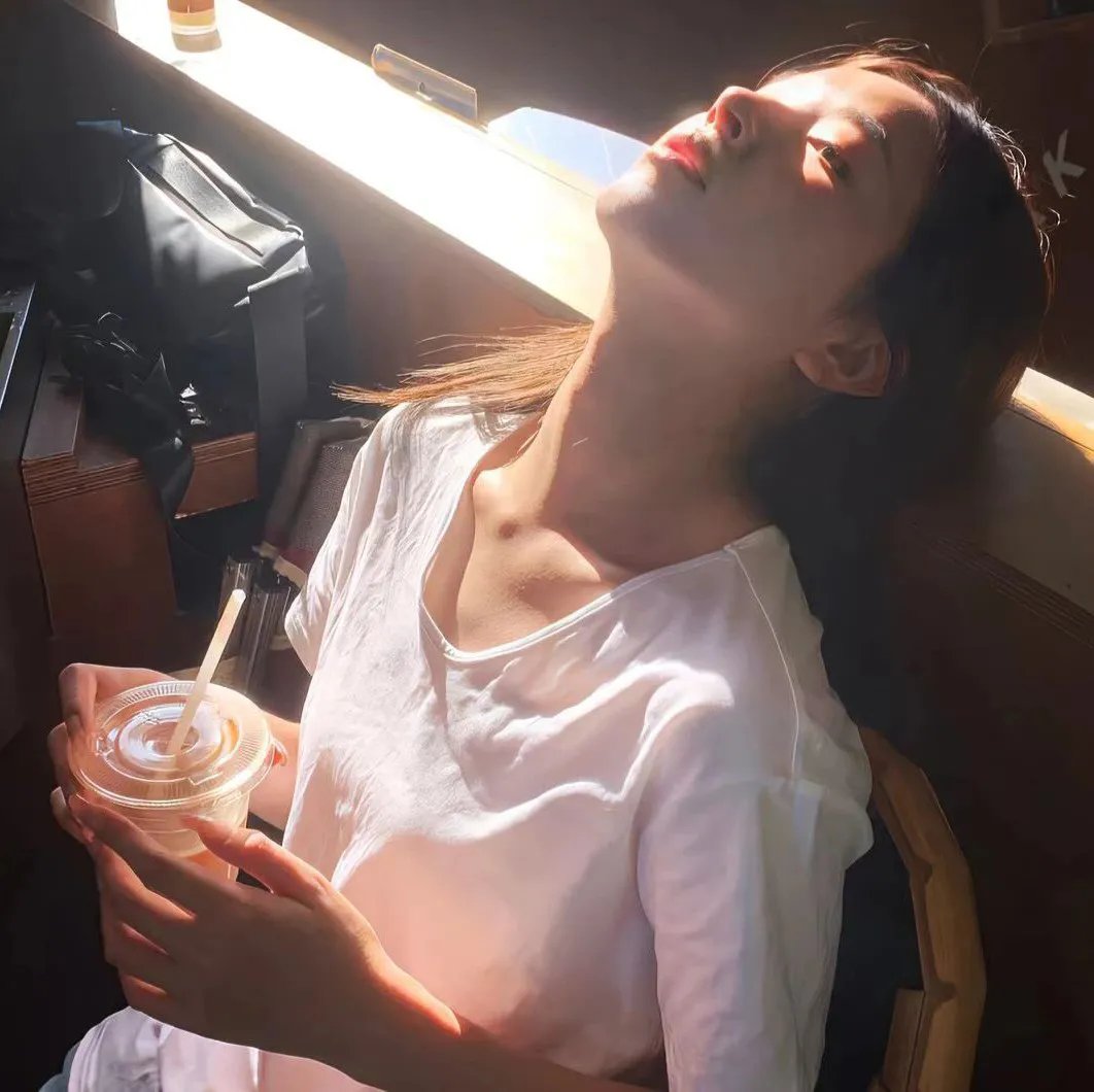 大贼与金丝猫